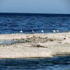 Salton Sea - Limited Edition Color #1 of 100